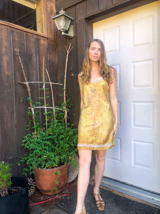 Eupatorium Bundle Dyed Slip Dress