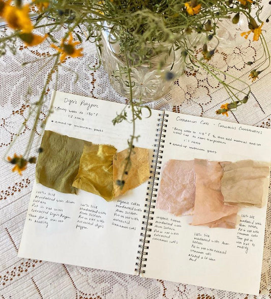 Intro to Plant Dye: 2 Part Workshop