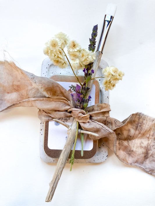 Plant Paint Gift Set