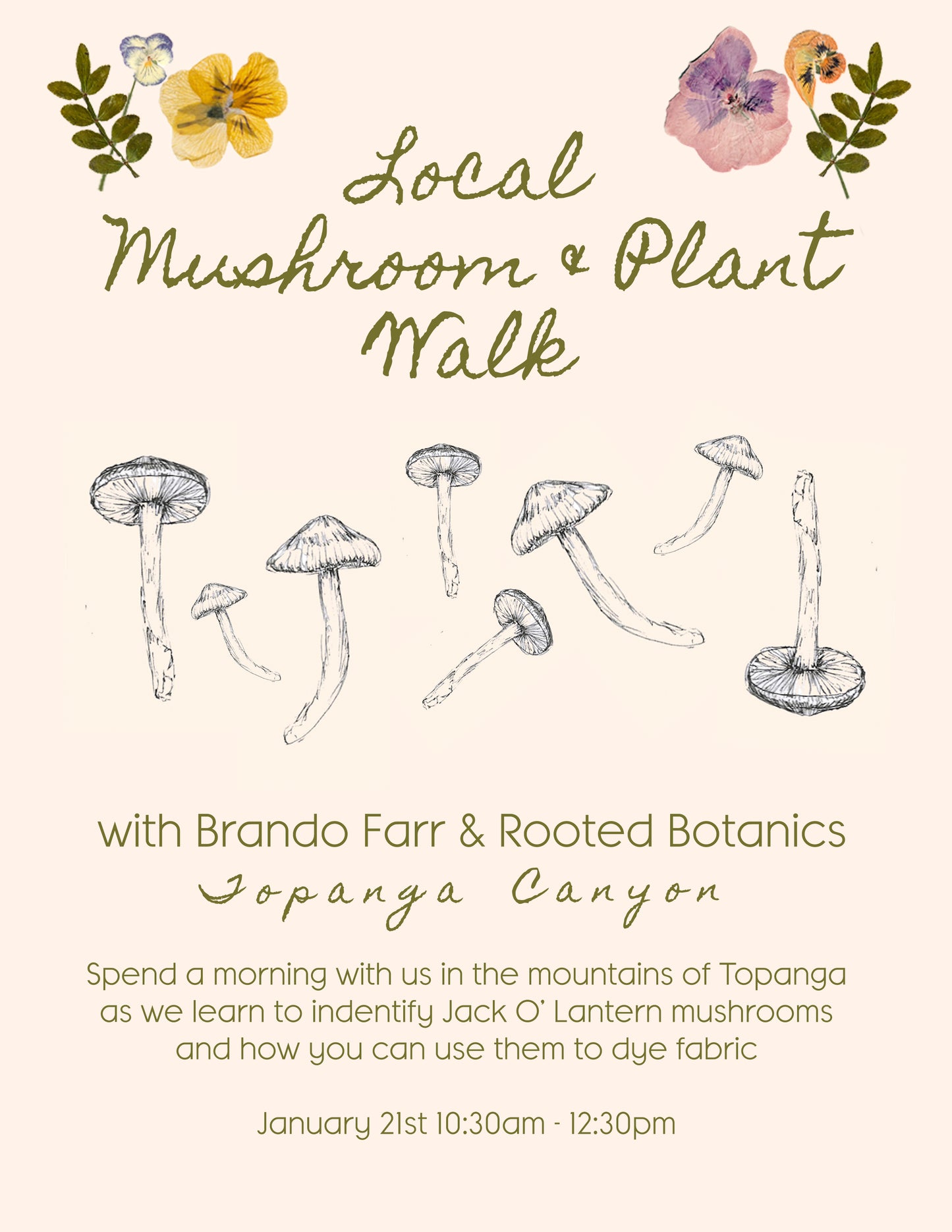 Local Mushroom & Plant Walk