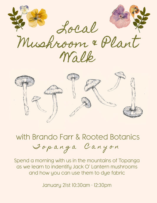 Local Mushroom & Plant Walk