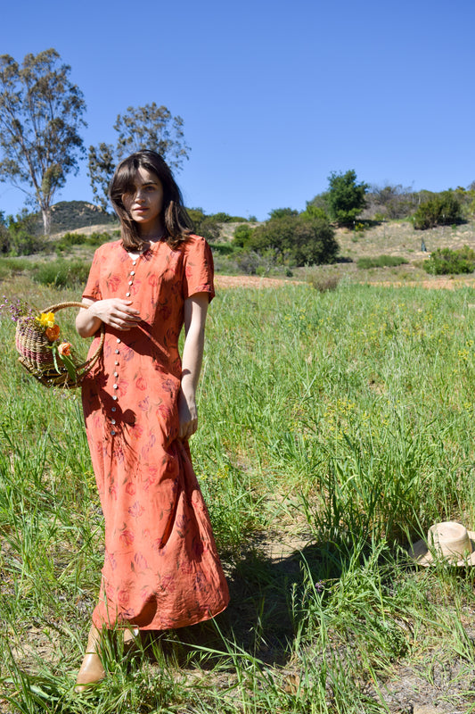 Madder 100% Silk Dress