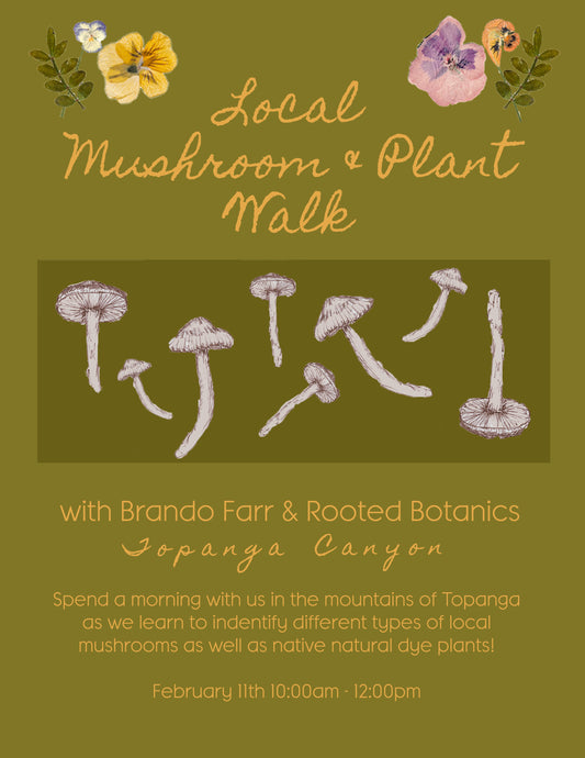 Local Mushroom & Plant Walk - February